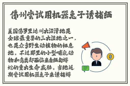 91丨精品丨国产丨蜜挑
